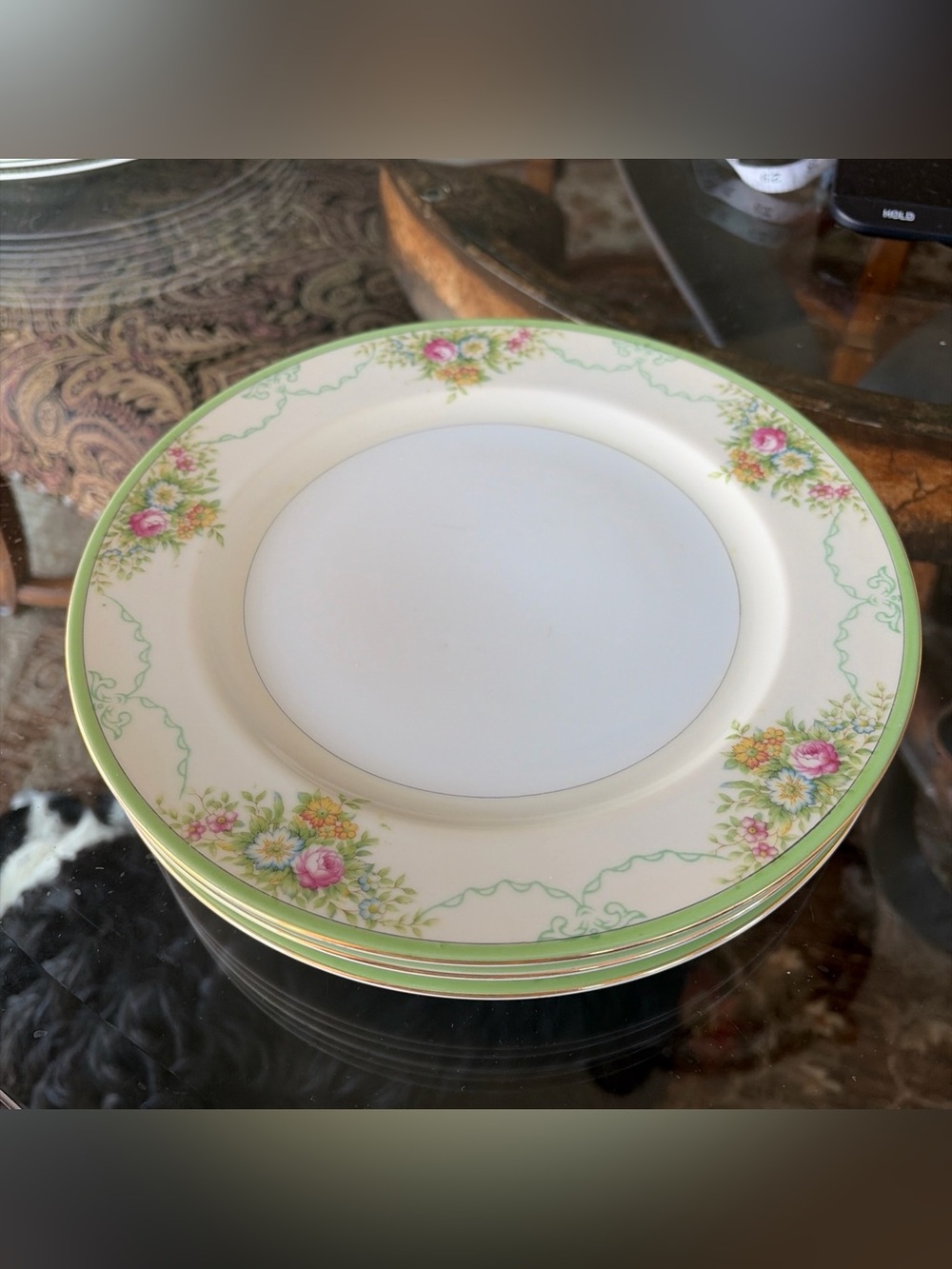 VTG Grace China Dinner Plates-10” “Formal Garden”-Green Trim/Floral Print-3 Ct